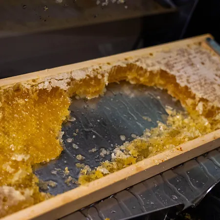 호텔 Ancora 베르바니아