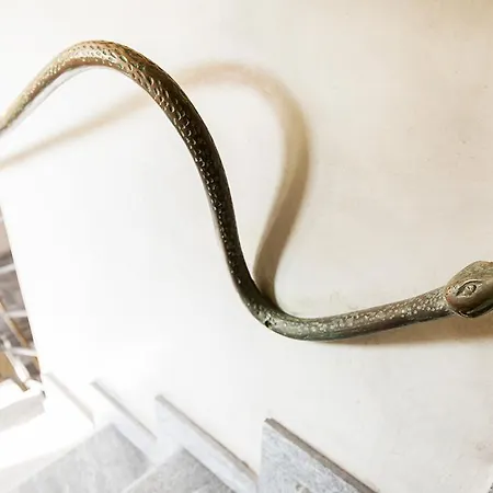 Ancora 베르바니아